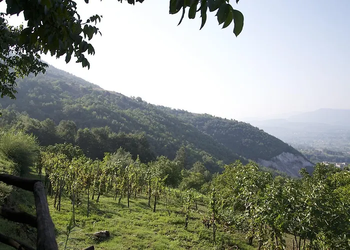 Fattoria Alvaneta