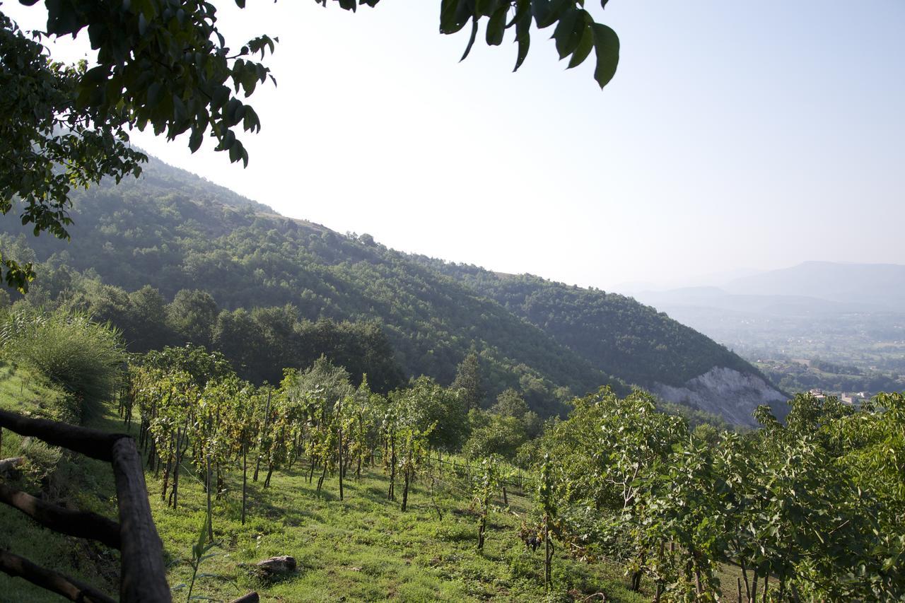 Casa di campagna Fattoria Alvaneta Padula