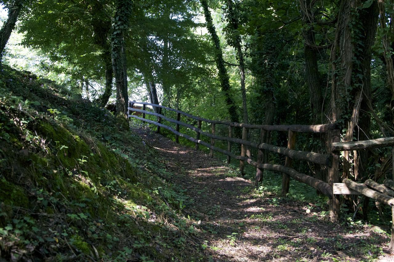 Fattoria Alvaneta
