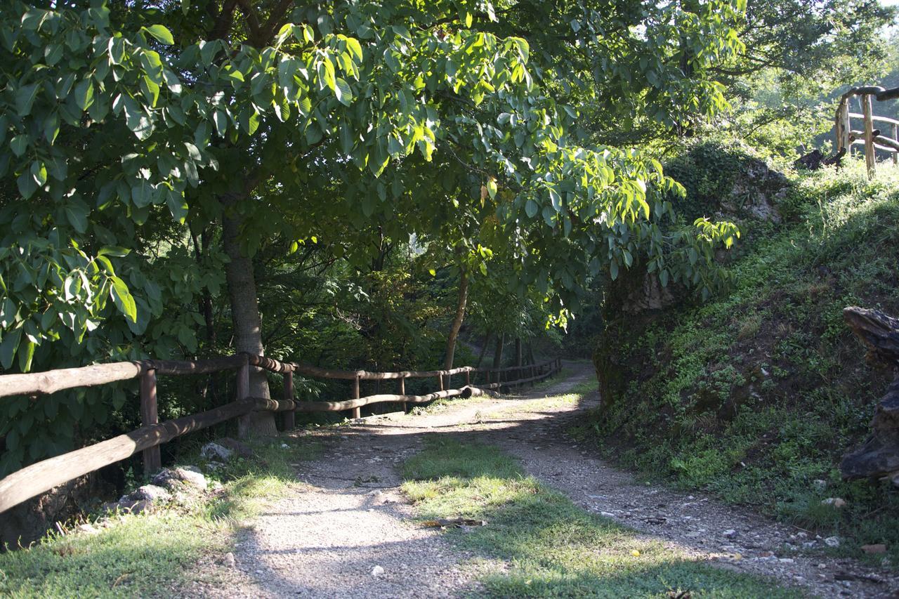 Casa de Campo Fattoria Alvaneta *