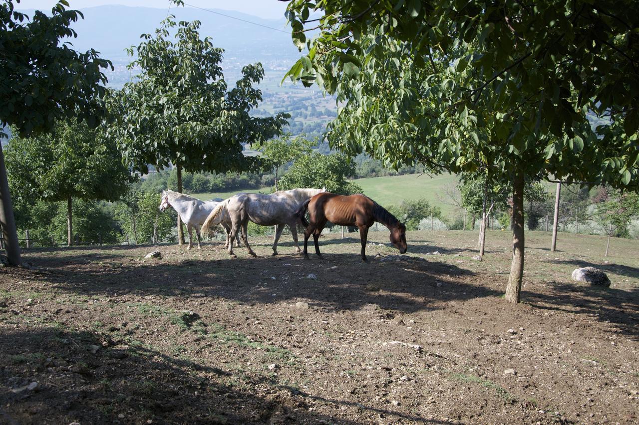 Fattoria Alvaneta Casa de Campo *