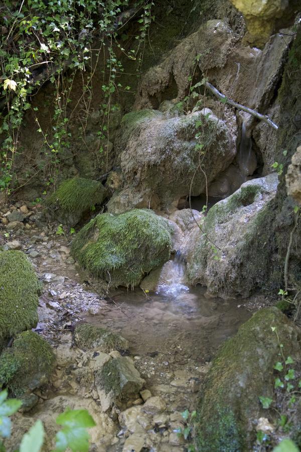 Fattoria Alvaneta *